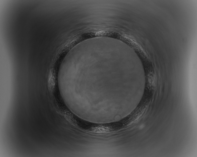 X0000097960691200803241214