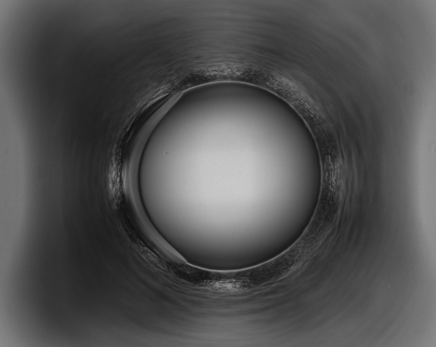 X0000097960692200803241214