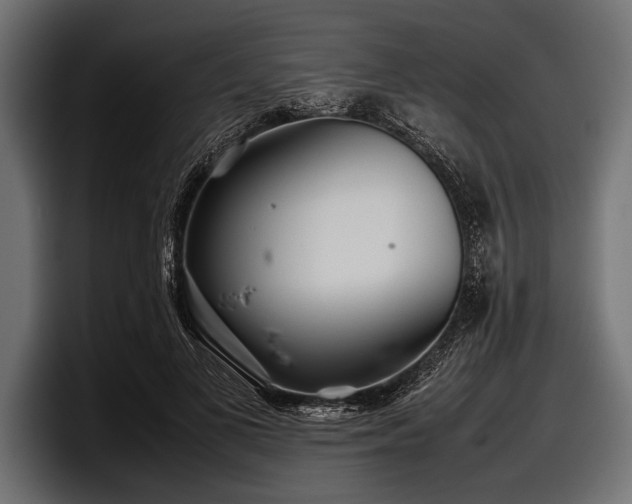 X0000097960693200803241214