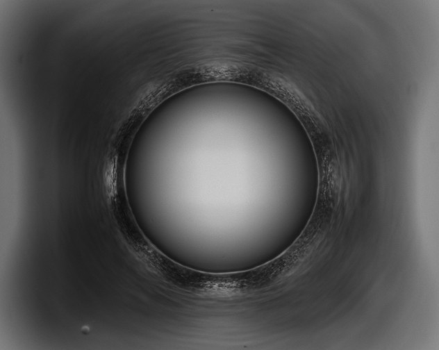 X0000097960694200803241214
