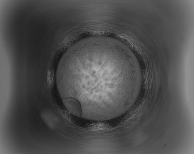 X0000097960695200803241214