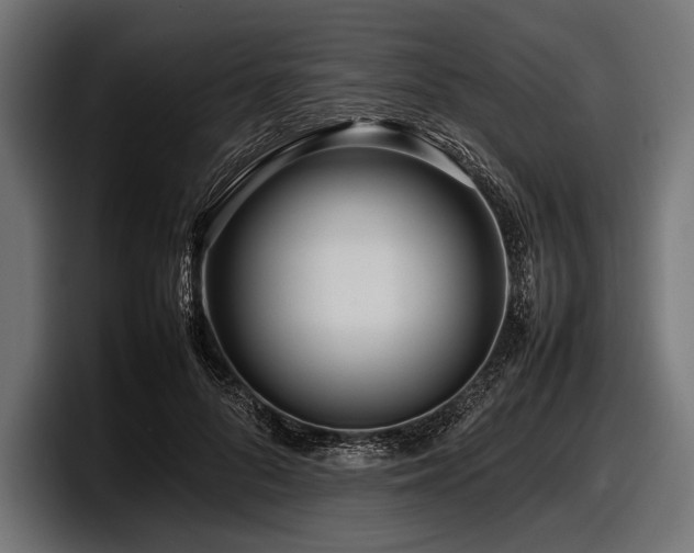 X0000097960696200803241214