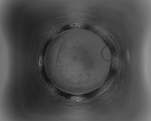 X0000097960699200803241214