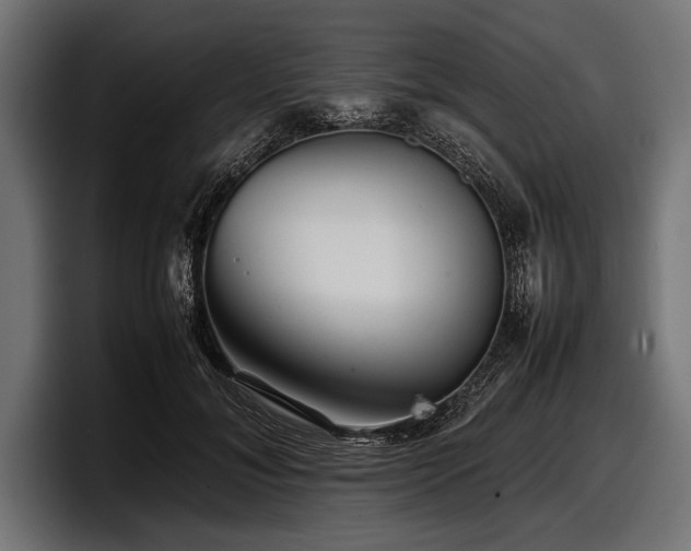 X0000097960700200803241214