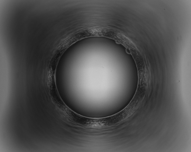 X0000097960702200803241214