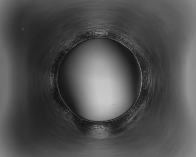 X0000097960704200803241214