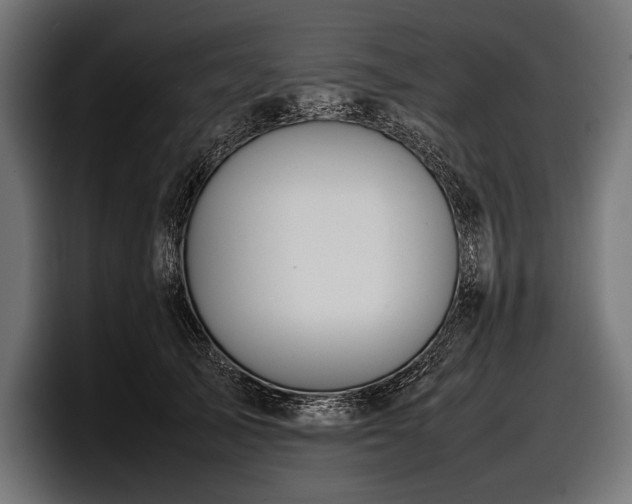 X0000097960705200803241214