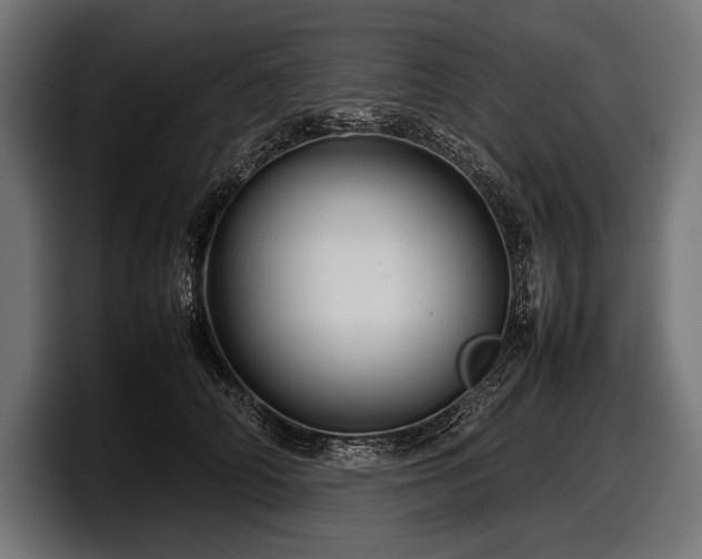 X0000097960706200803241214