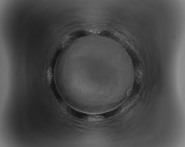 X0000097960707200803241214