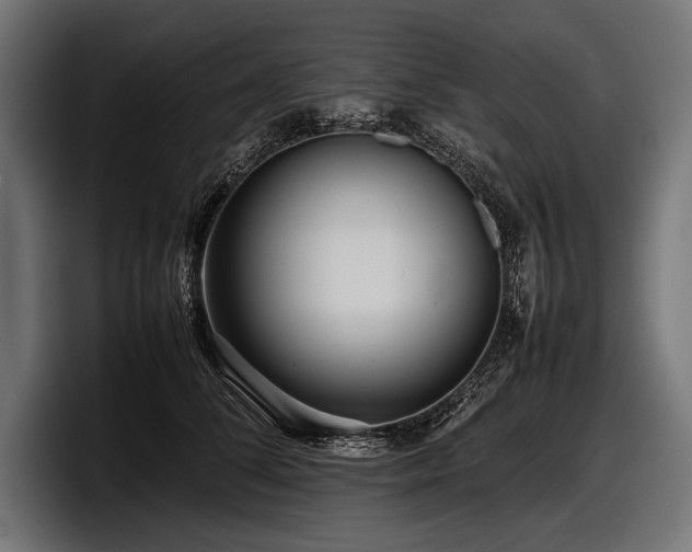 X0000097960708200803241214