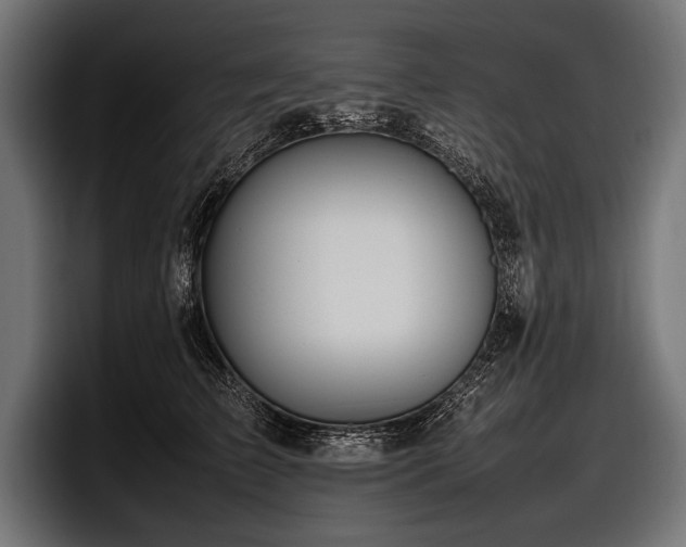 X0000097960709200803241214