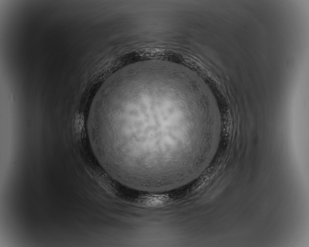 X0000097960711200803241214