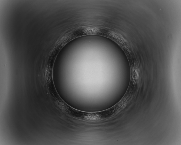 X0000097960714200803241214