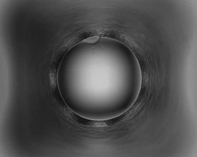 X0000097960719200803241214
