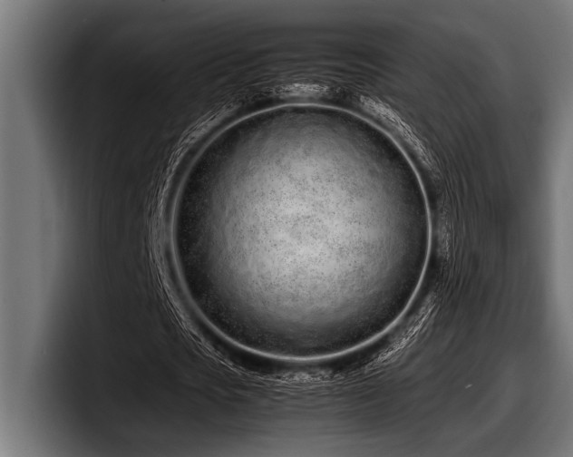 X0000097960721200803241213