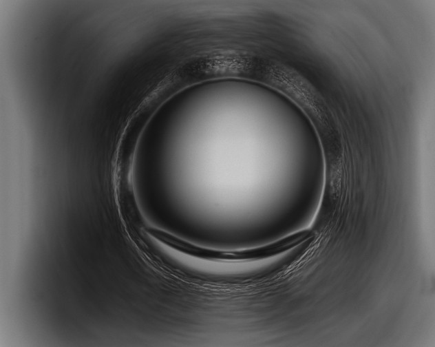 X0000097960722200803241213
