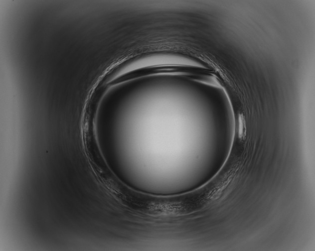 X0000097960723200803241213