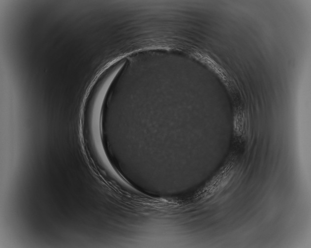 X0000097960724200803241213
