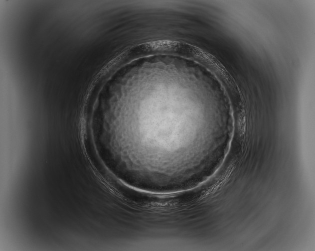 X0000097960725200803241213