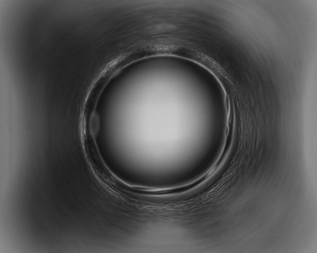 X0000097960726200803241213