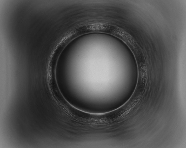 X0000097960727200803241213