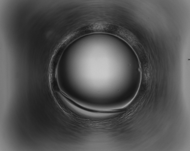 X0000097960728200803241213