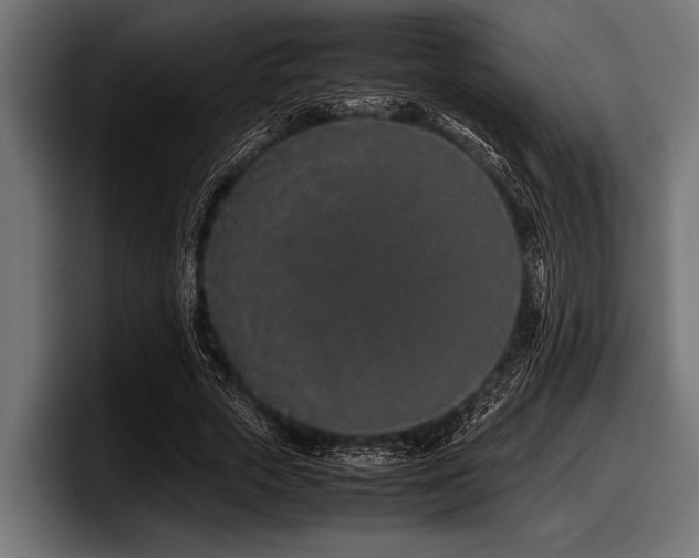 X0000097960729200803241213