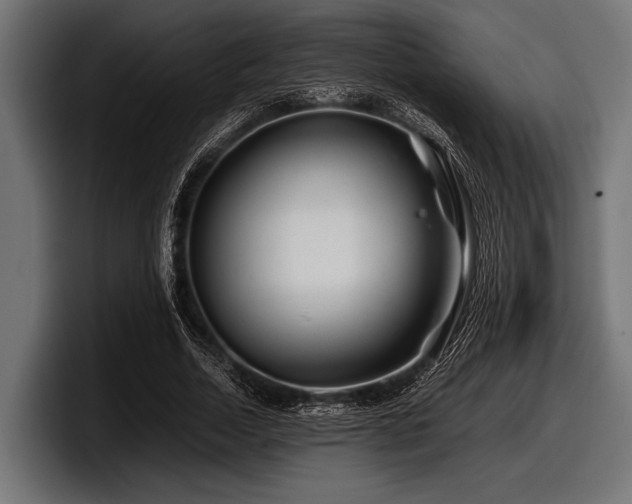 X0000097960730200803241213