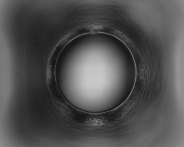 X0000097960731200803241213