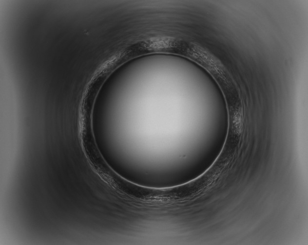 X0000097960732200803241213