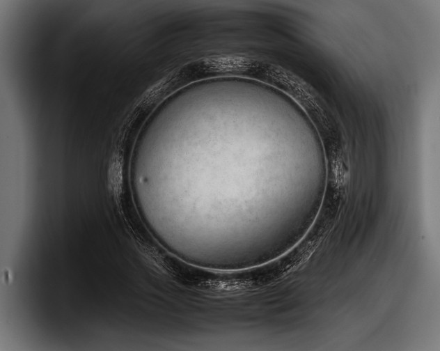 X0000097960733200803241213