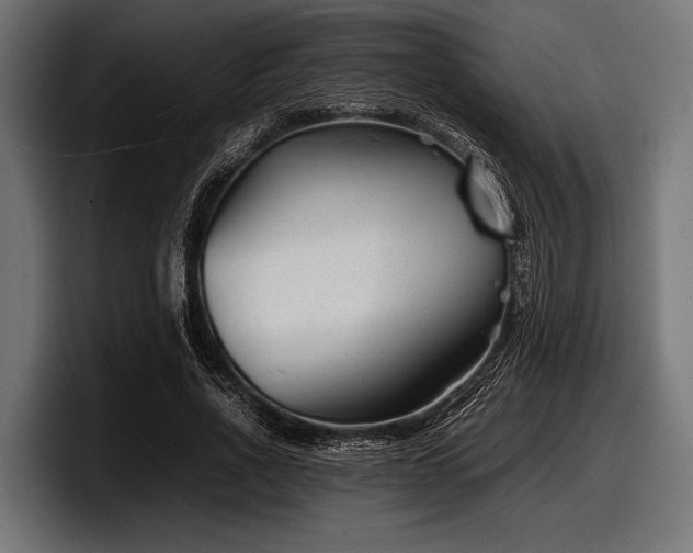 X0000097960734200803241213