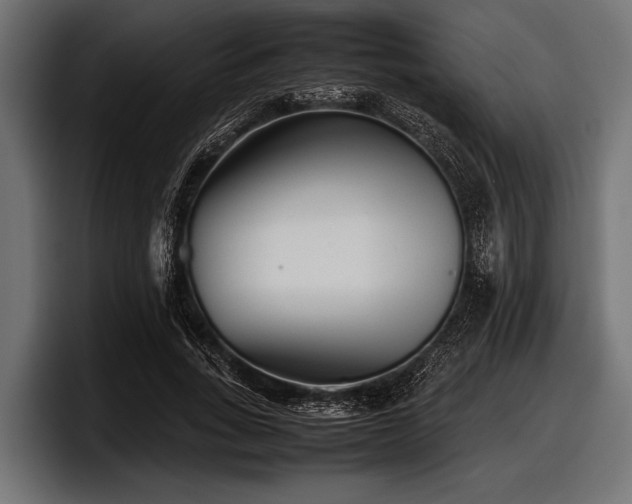 X0000097960735200803241213