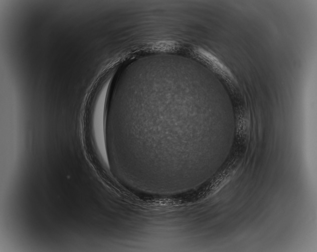X0000097960736200803241213