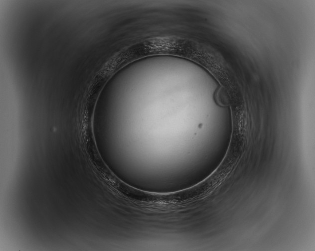 X0000097960737200803241213