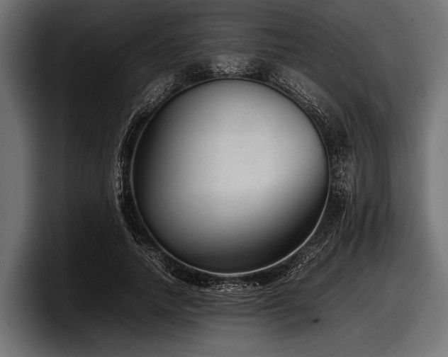 X0000097960738200803241213