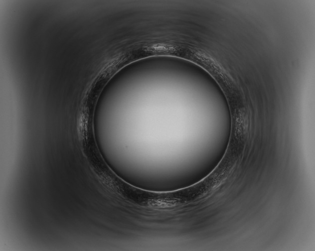 X0000097960739200803241213