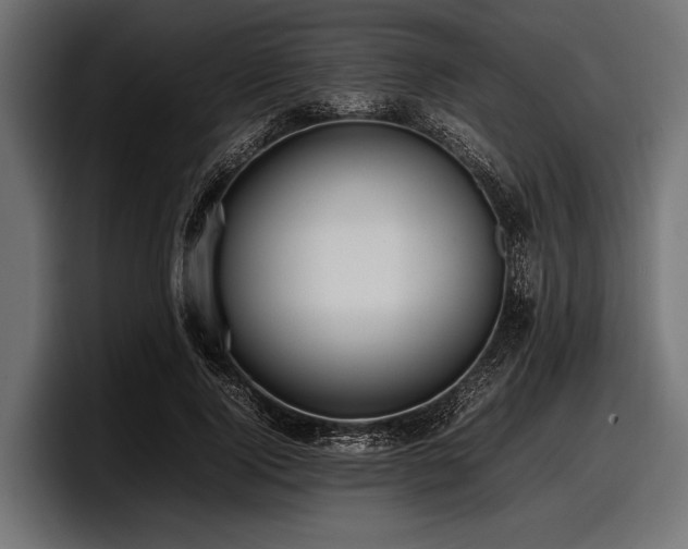 X0000097960740200803241213