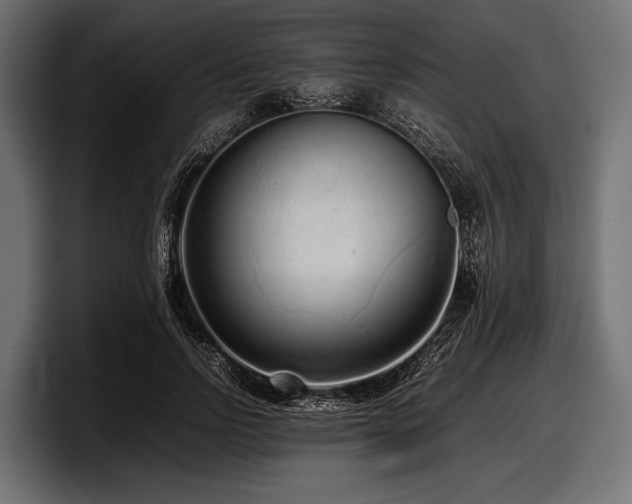 X0000097960742200803241213