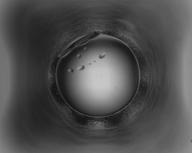 X0000097960743200803241213