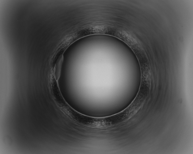 X0000097960744200803241213