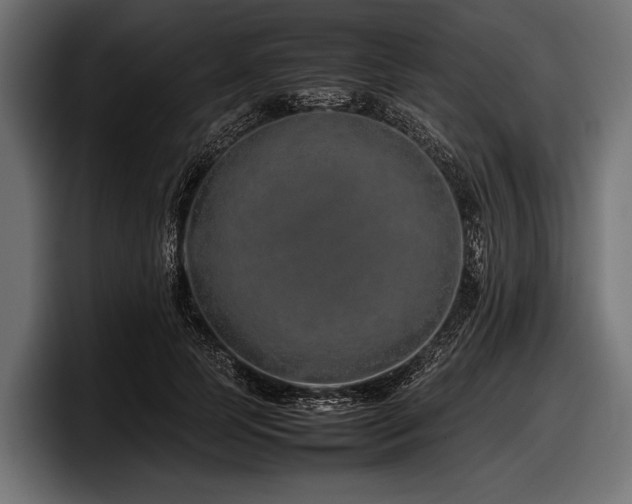 X0000097960745200803241213