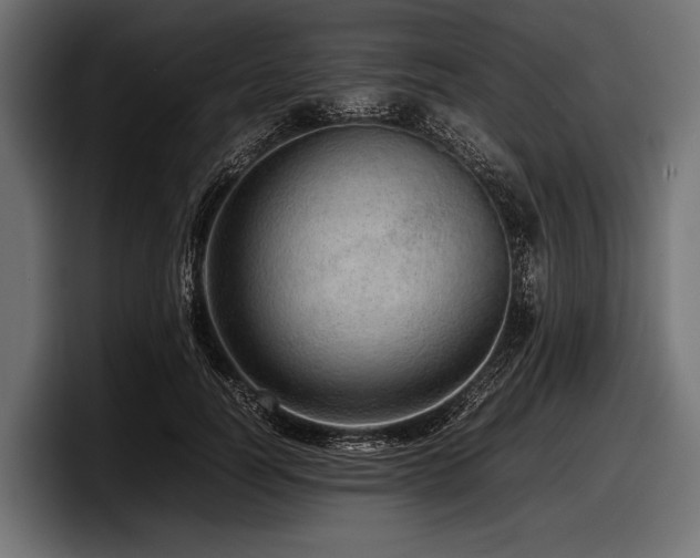 X0000097960746200803241213