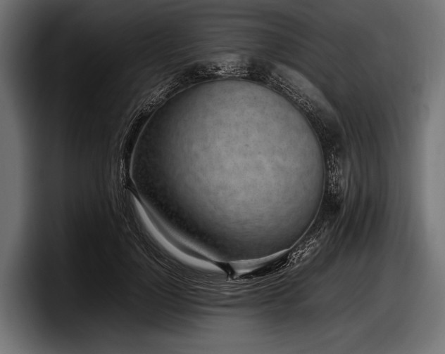 X0000097960748200803241213