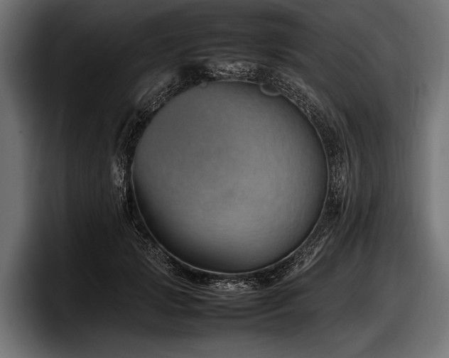 X0000097960749200803241213