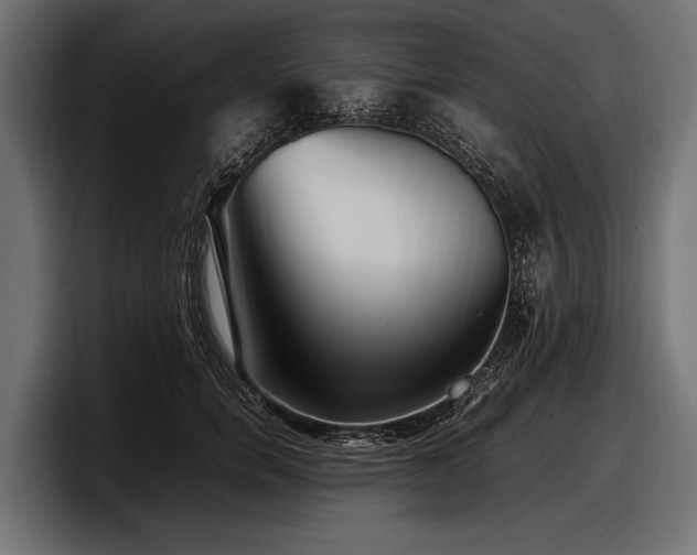 X0000097960750200803241213