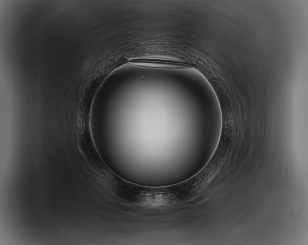 X0000097960751200803241213