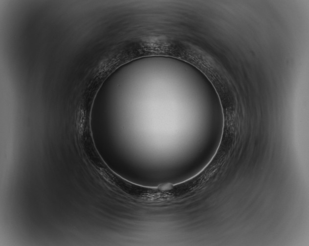 X0000097960752200803241213