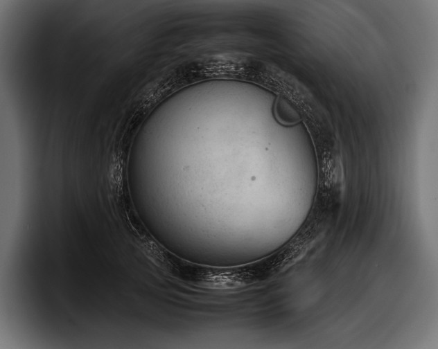 X0000097960753200803241213