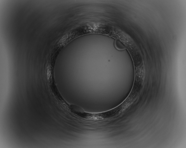 X0000097960754200803241213